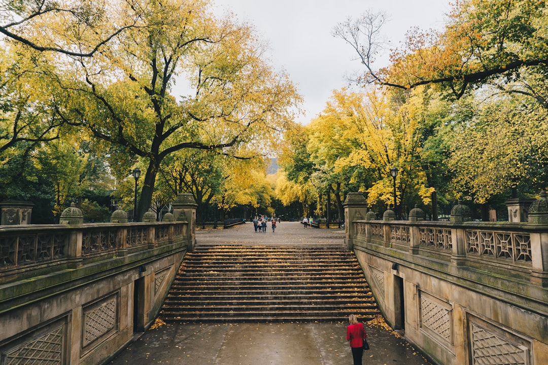 Paving the Way: Creative Uses for Concrete in Stairs and Walkways