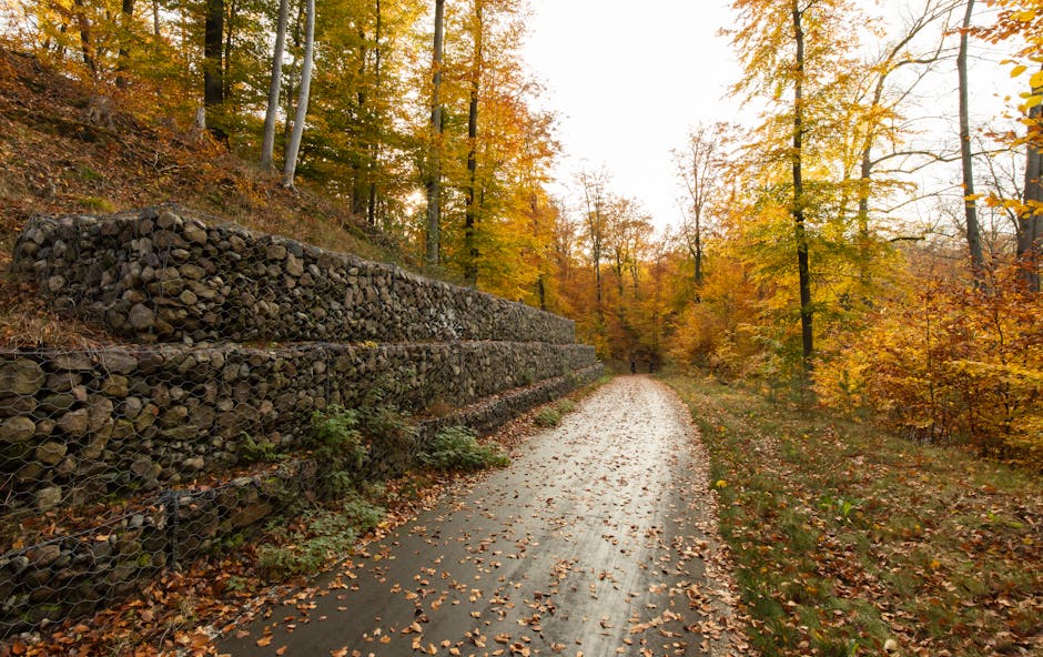 How to Build a Retaining Wall, Even When You Don’t Feel Like It