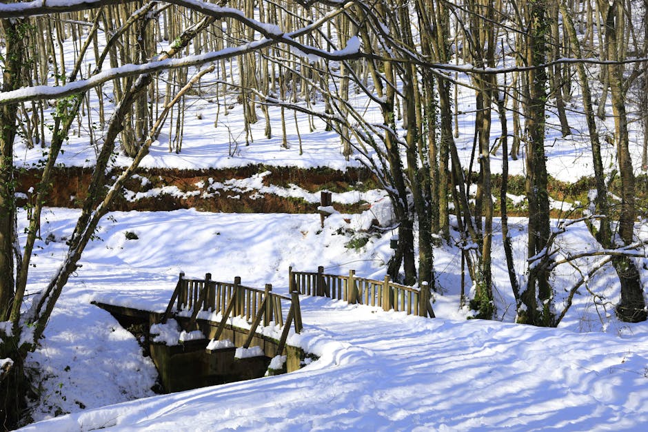 Detailed Reviews of the Top 10 Snow Removal Services North Shore