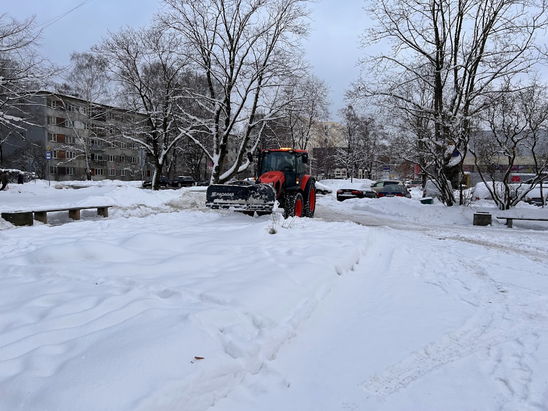 Clear Paths, Clear Mind: How to Find Top-Rated Commercial Snow Removal Services Locally