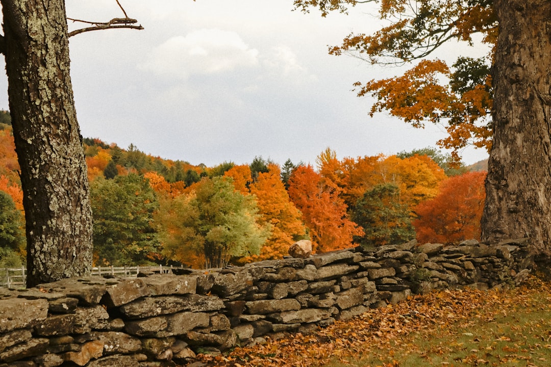 Massachusetts Landscape: Everything You Need to Know