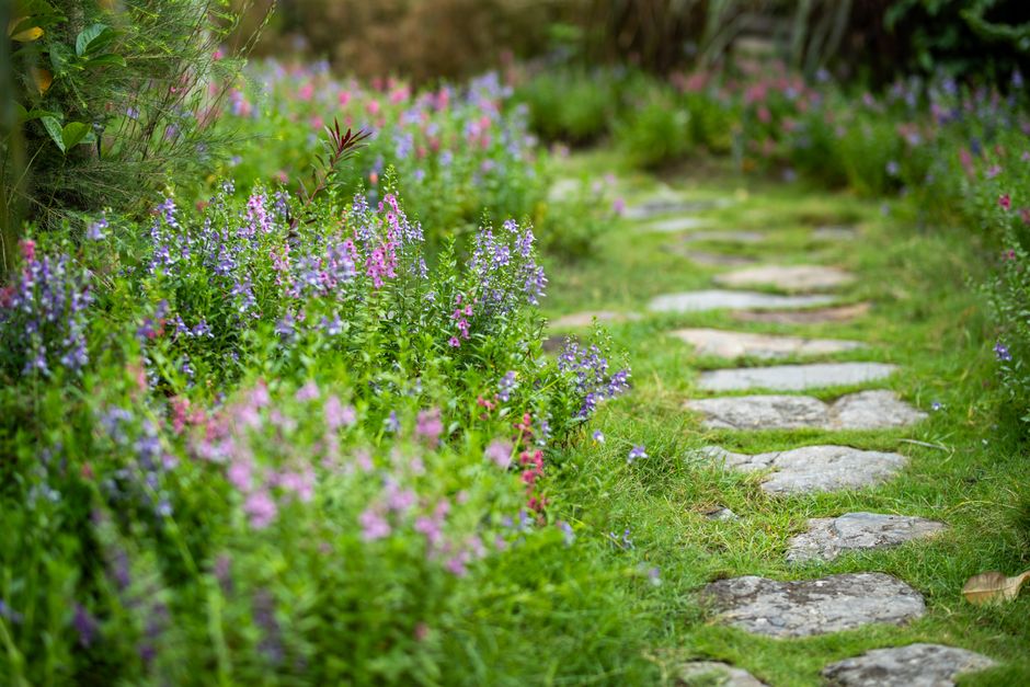 Find Your Perfect Path: Top Round Stepping Stones for Every Landscape