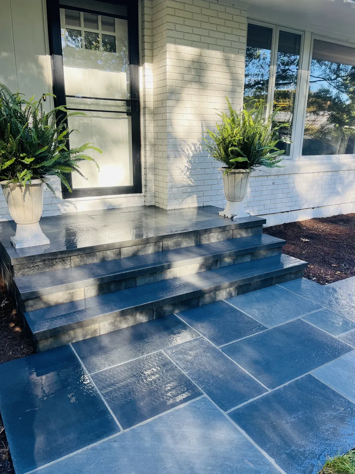 Wide stone front steps and landing with a potted fern on each side of the door